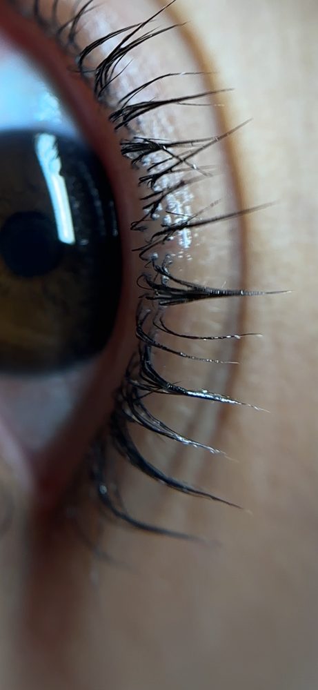 Korean Lash Lift - result 2